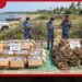 නීතිවිරෝධී ලෙස ගෙන ආ  ඖෂධ සහ බීඩි කොළ තොගයක්  කල්පිටියේදී  නාවික හමුදා භාරයට