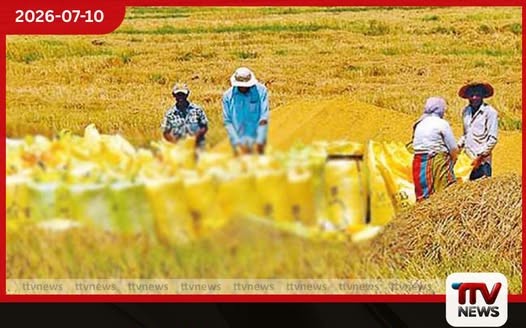 වී මිලදී ගැනීම් එළැඹෙන සඳුදා සිට ඇරඹෙයි