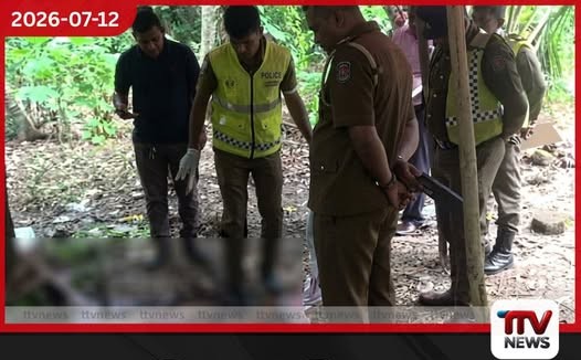 88 හැවිරිදි සිව්දරු පියාව ඝාතනය කරලා…