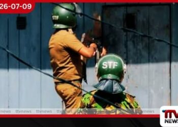 තෝව අහුවුණොත් මරනවා…