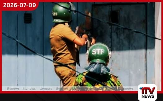 තෝව අහුවුණොත් මරනවා…