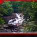 ශ්රී ලංකාවේ ජෛව විවිධත්වය සුරැකීමට නව ජෛව සුරක්ෂිතතා පනත් කෙටුම්පතක්