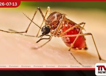 ඩෙංගු අවදානම් කොට්ඨාස 174 සිට 160 දක්වා පහළට