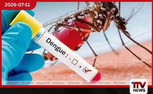 ඩෙංගු ව්යාප්තියේ තීරණාත්මක සති දෙකක් බස්නාහිර පළාතේ තත්ත්වය අවදානම්