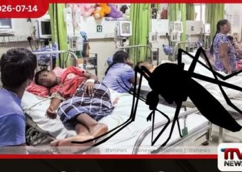 මරණ 48ක් සමඟ ලංකාවම සලිත කළ ඩෙංගු ව්යසනය ගම්පහ සහ කොළඹින් රෝගීන් 70,000කගේ ජීවිත අවදානම ඉහළට!
