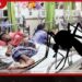 මරණ 48ක් සමඟ  ලංකාවම සලිත කළ ඩෙංගු ව්‍යසනය  ගම්පහ සහ කොළඹින් රෝගීන් 70,000කගේ  ජීවිත අවදානම ඉහළට!