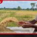 කාලගුණ විපර්යාසයන් හමුවේ සක්රීය වන දිවයිනේ සුවිශේෂී කලාප ඉදිරි පැය කිහිපය තීරණාත්මක වෙයි