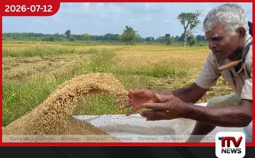 කාලගුණ විපර්යාසයන් හමුවේ සක්රීය වන දිවයිනේ සුවිශේෂී කලාප ඉදිරි පැය කිහිපය තීරණාත්මක වෙයි