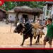 දුටුගැමුණු රජුගේ සම්ප්රදාය සුරකිමින් දෙවියන්ගේ වී තවලම කතරගම දේවාලයට ළඟා වූ අයුරු
