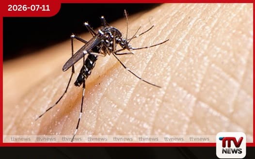 මෙරට ඩෙංගු මරණ සංඛ්යාව 47ක් දක්වා ඉහළට