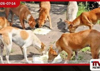 කර්මාන්ත ක්ෂේත්රයේ නව පිබිදීමකට ජනාධිපතිගෙන් උපදෙස්