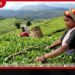 අගවිනිසුරුට අපහාස කර ශ්රේෂ්ඨාධිකරණය තුළ කඩදාසි විසි කළ නීති ශිෂ්යයන් දෙදෙනා දිල්ලි පොලිසියෙන් අත්අඩංගුවට
