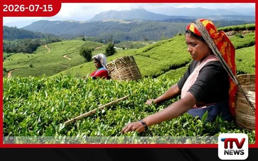 අගවිනිසුරුට අපහාස කර ශ්රේෂ්ඨාධිකරණය තුළ කඩදාසි විසි කළ නීති ශිෂ්යයන් දෙදෙනා දිල්ලි පොලිසියෙන් අත්අඩංගුවට