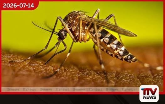 ඩෙංගු අවදානම ඉහළට පෙර පාසල් දරුවන්ගේ දෑත් සහ දෙපා වැසෙන පරිදි ඇඳුම් අන්දවන්න ඇමතිනියගෙන් ඉල්ලීමක්