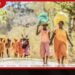 කතරගම පාද යාත්රාවේ නිරත වූ බැතිමතෙකු ජීවිතක්ෂයට