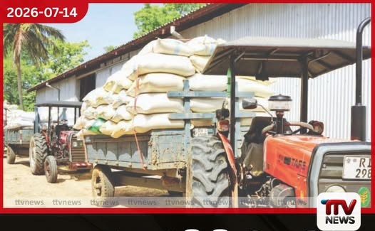යල කන්නයේ වී මිලදී ගැනීම අම්පාරෙන් ඇරඹේ