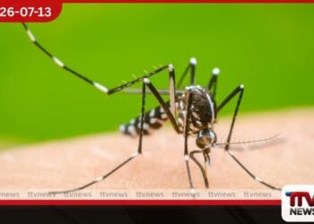 මදුරුවන් බෝ කළ අයට නුගේගොඩ උසාවියෙන් රුපියල් ලක්ෂ 21ක වාර්තාගත දඩයක්