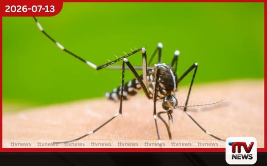 මදුරුවන් බෝ කළ අයට නුගේගොඩ උසාවියෙන් රුපියල් ලක්ෂ 21ක වාර්තාගත දඩයක්