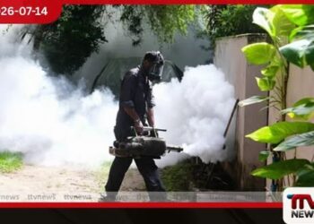 දිස්ත්රික්ක 11ක විශේෂ ඩෙංගු මර්දන වැඩසටහනක් බ්රහස්පතින්දා සිට!