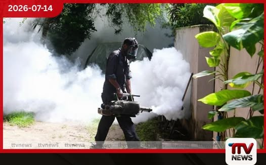 දිස්ත්රික්ක 11ක විශේෂ ඩෙංගු මර්දන වැඩසටහනක් බ්රහස්පතින්දා සිට!
