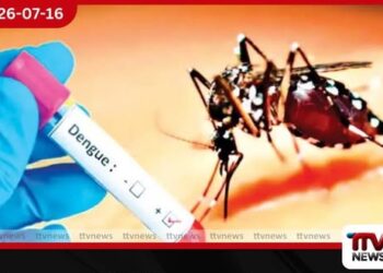ඩෙංගු රෝගීන්ට අනතුරු ඇඟවීමක්!