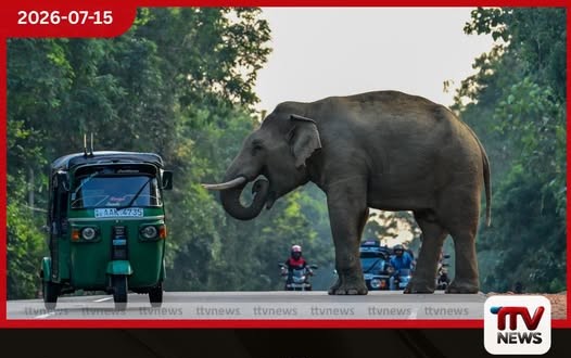 රත්නපුර ඉඩම් ගැටලු සහ මිනිස්-ඇත් ගැටුම් විසඳීමට