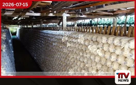 බිම්මල් වගාකරුවන් සඳහා නව රක්ෂණ ක්රමයක් හඳුන්වා දේ