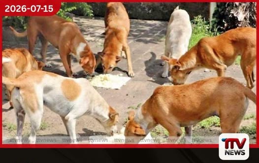 පාකිස්තාන වේග පන්දු යවන ක්රීඩක ෂහින් ෂා අෆ්රිඩි ලංකා ප්රිමියර් ලීගයට