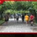වරකාපොළ රජයේ කාර්යාලයකට කඩාවැදී නිලධාරිනියකගේ රන් මාලයක් කොල්ලකයි