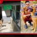 සිට මෙරටට ගෙන ආ ලුසී පොලිස් නිල සුනඛ දෙන පැටවුන් 8ක් බිහි කරයි