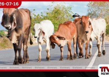 රුපියලට මොකද වෙන්නේ?
