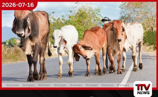 රුපියලට මොකද වෙන්නේ?