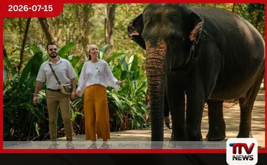 පින්නවල අලි අනාථාගාරයේ නව අත්දැකීම Walk with an Elephant වැඩසටහන ආරම්භ වේ!