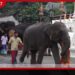 යෝෂිත​ට හා මිත්තනියට එරෙහි නඩුව සංශෝධිත චෝදනා යටතේ ඉදිරියට
