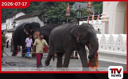 යෝෂිතට හා මිත්තනියට එරෙහි නඩුව සංශෝධිත චෝදනා යටතේ ඉදිරියට