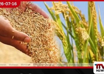 රජයේ වී මිල දී ගැනීමේ වැඩපිළිවෙළ සාර්ථකයි