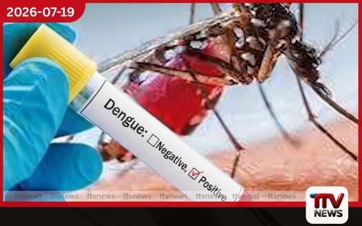 ඩෙංගු මර්දනයට වොල්බැකියා ක්රමවේදය 2027 සිට නැවතත් ආරම්භ කිරීමට සැලසුම්