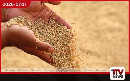 රජයේ සහතික මිලට වී මිලදී ගැනීම ඇරඹේ