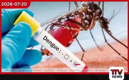 ඩෙංගු බය තවත් වැඩි වෙයි…