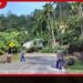 දෙනියාය නගරයේදී  ඩෙංගු මර්දන  විශේෂ වැඩසටහනක්