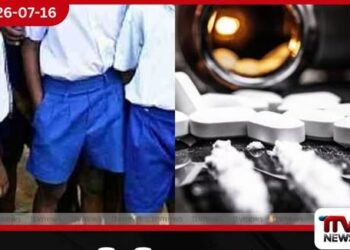 රනිල් සජිත් එකට එන ලකුණු?