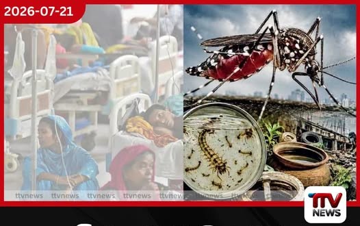 කඩින් කඩ වැසිත් එක්ක ඩෙංගු අවදානම ඉහළට…