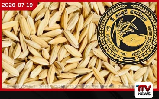 වී මිලදී ගැනීම ආරම්භ කර දින හතරක් තුළ වී මෙට්රික් ටොන් 305ක් මිලදී ගත් බව වී අලෙවි මණ්ඩලය පවසයි
