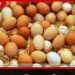 හෙට සිට බිත්තර මිල ඉහළට