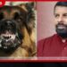 සමාජ වගකීම් ඉටු කළා නම් ඩෙංගු සහ ජලභීතිකා මරණ වළක්වන්න තිබුණා
