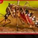 ඩෙංගු පාලනයට නව විද්යාත්මක OVI උගුල හඳුන්වා දෙයි