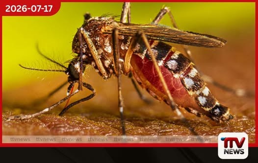 ඩෙංගු පාලනයට නව විද්යාත්මක OVI උගුල හඳුන්වා දෙයි