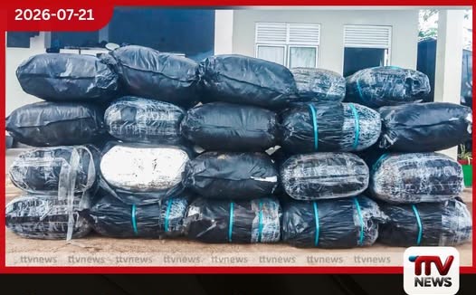 මීගමුවේ දැවැන්ත බීඩි කොළ තොගයක් නාවික හමුදාව අල්ලයි