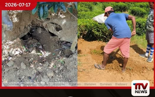 නෝර්වුඩ් ප්රදේශයේ අනවසර මැණික් ගැරීමෙන් දැඩි පරිසර හානියක් සහ තේ වතු පද්ධතියට බලපෑම්