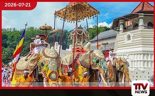 මහනුවර ඇසළ පෙරහැරේ බුද්ධිමය දේපළ හිමිකම් ආරක්ෂා කිරීමට කමිටුවක් පත් කිරීමට කැබිනට් අනුමැතිය